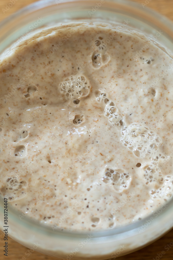 Sourdough starter Sourdough starter