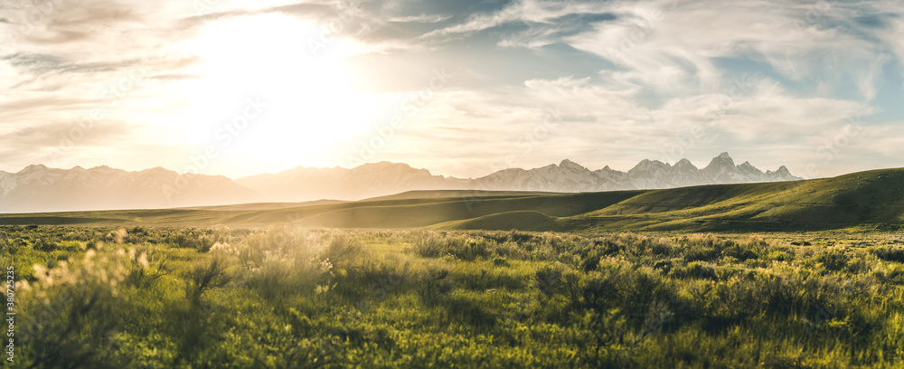 panorama of grand tetons and grassland