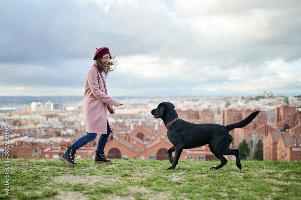 Girl playing with Labrador Girl playing with Labrador
