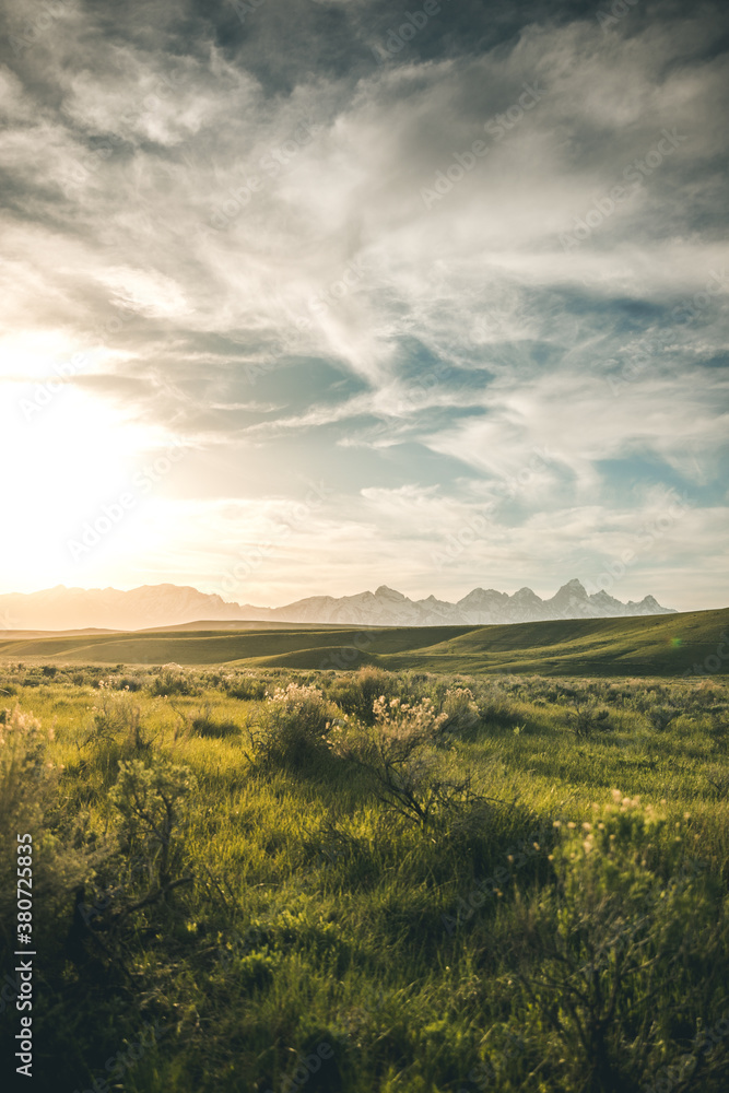 grand tetons and green meadow grand tetons and green meadow