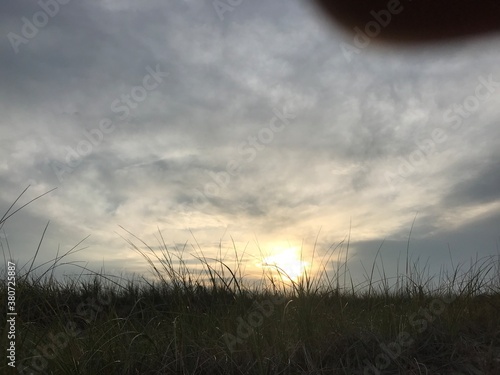 Sunset with a moody sky against grass, and a bird on the horizon.