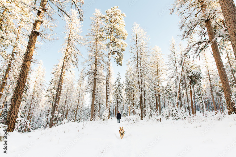 Snow days Snow days