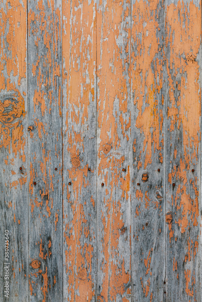 Texture of rusty wood door Texture of rusty wood door