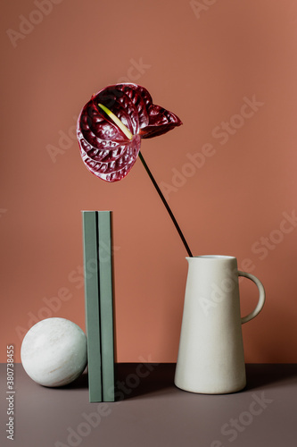 Still life with an anthurium