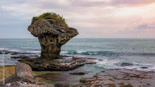 Vase Rock was formed by the rising of coastal coral reef, just off Liuqiu Island photo