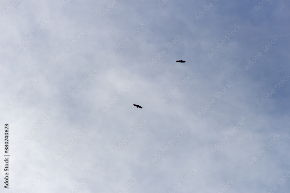 paragliding in the blue sky