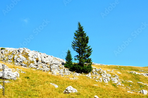 Typical landcsape in the mountains and forests of Transylvania. Bucegi Massif, Carpathian Mountains, Romania