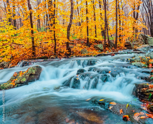 Water rushes over mossy rocks in autumn in New York state, at the Harriman State Park.