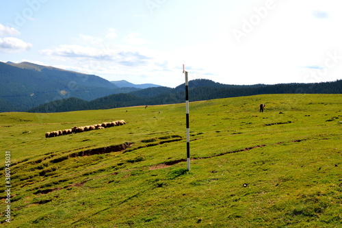 Typical landcsape in the mountains and forests of Transylvania. Bucegi Massif, Carpathian Mountains, Romania
