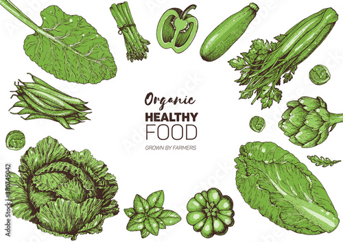 Vegetables top view frame. Farmers market menu design template. Organic vegetables food poster. Vintage hand drawn sketch vector illustration. Green plants.