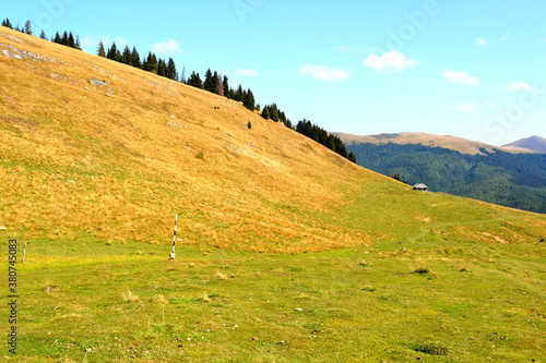 Typical landcsape in the mountains and forests of Transylvania. Bucegi Massif, Carpathian Mountains, Romania