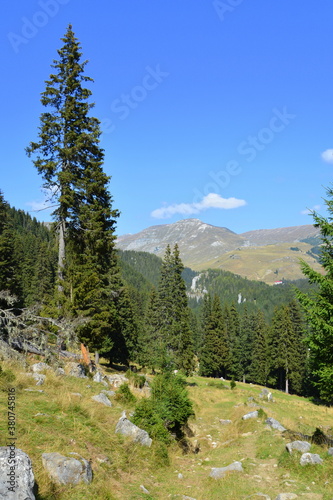Typical landcsape in the mountains and forests of Transylvania. Bucegi Massif, Carpathian Mountains, Romania