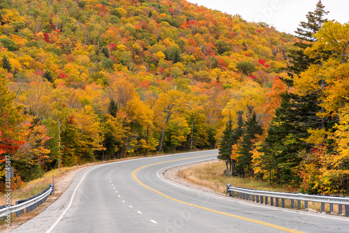 Curve along a mountain road running through a deciduous forest at the peak of autumn colours on a cloudy morning. Pinkham Notch, NH, USA.