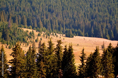 Typical landcsape in the mountains and forests of Transylvania. Bucegi Massif, Carpathian Mountains, Romania