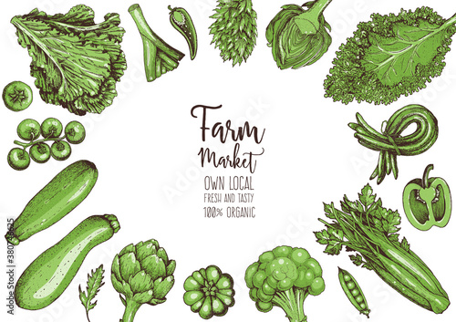 Vegetables top view frame. Farmers market menu design template. Organic vegetables food poster. Vintage hand drawn sketch vector illustration. Green plants.
