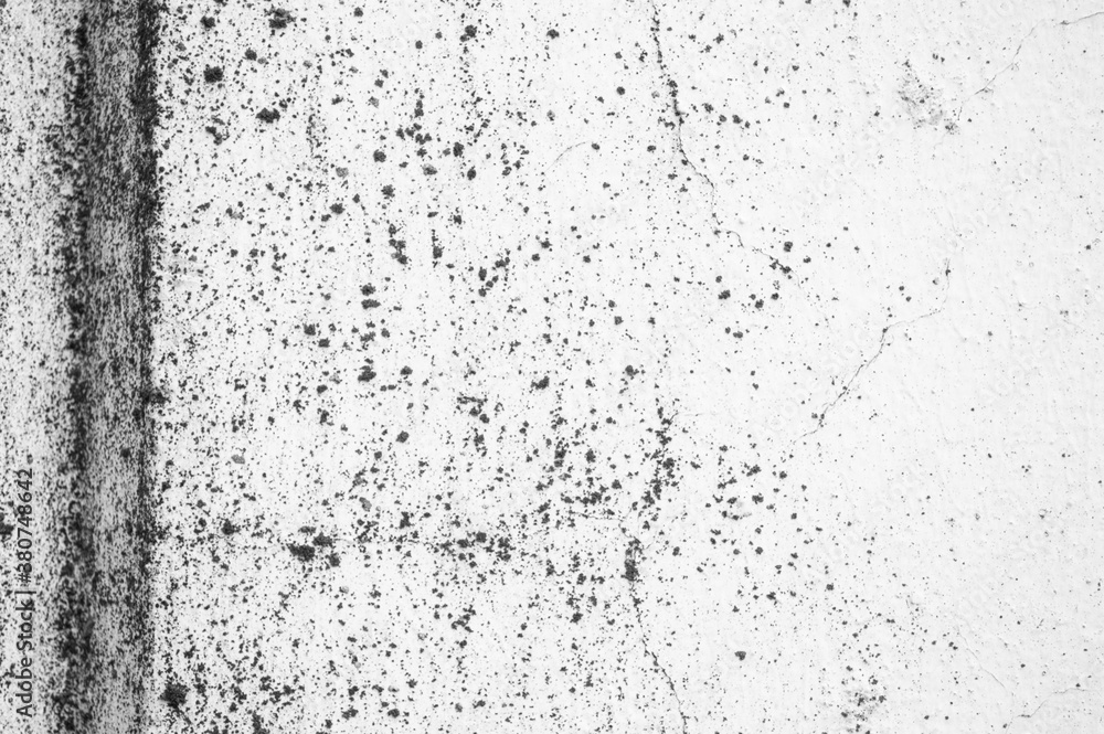 gray concrete texture. background with copy space