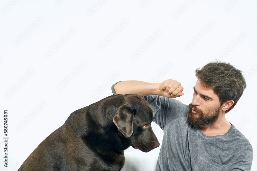 the owner plays with the dog on a white sofa In a bright room fun close-up cropped view friends pet the owner plays with the dog on a white sofa In a bright room fun close-up cropped view friends pet