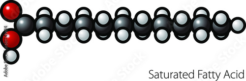 Molecule of saturated fatty acid.