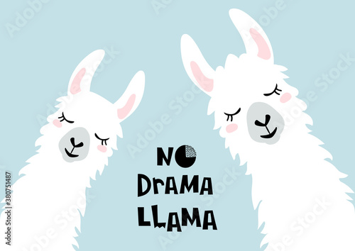 Cute cartoon llama design with No drama llama motivational quote. Vector illustration