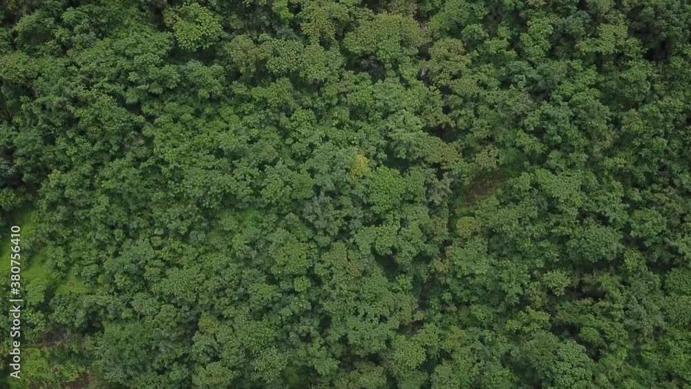 Texture Of Green Tree Forest View From Above In The Mountains Of Trimbakeshwar, Western Ghats Of Maharashtra. - Aerial Drone Shot Texture Of Green Tree Forest View From Above In The Mountains Of Trimbakeshwar, Western Ghats Of Maharashtra. - Aerial Drone Shot