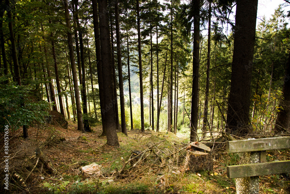 Wald gebiete in Sauerland Wald gebiete in Sauerland