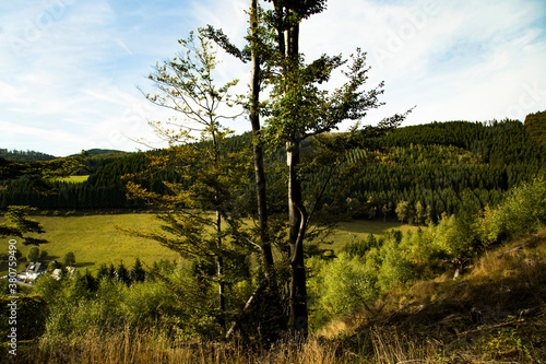 Sauerland Landschaft Herbst 