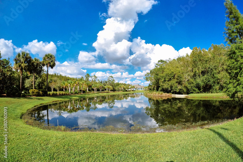 Autumn tree, pond and white cloud in Florida