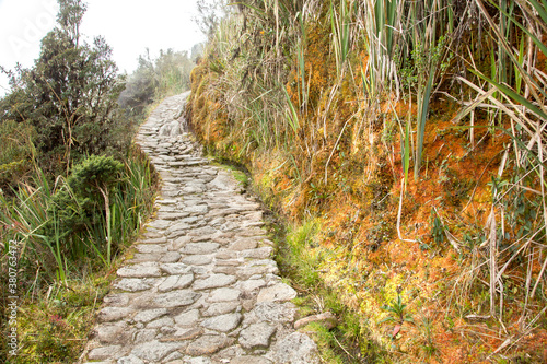 the Inca trail near Dead Wonan's Pass, Peru. Many of the stones are hand carved by the ancient peruvians.