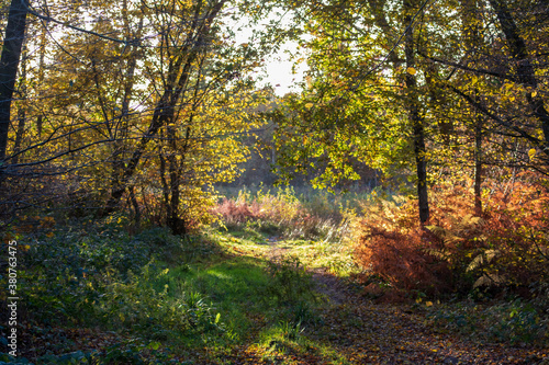 Autumn Is Coming, East Sussex Country Side Scenes © Jay De Winne