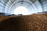 Wheat grain storage in the arched hangar