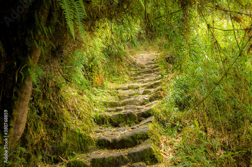 the Inca trail near the Puyupatamarca archological site, Peru.  Many of the stones in the trail were hand carved by ancient peruvians. photo