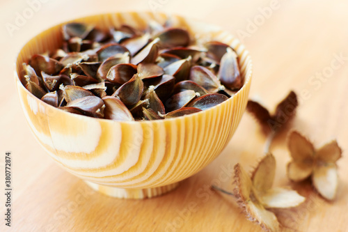 Beechnuts