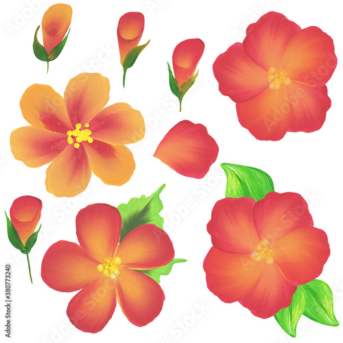 illustration painted with acrylic paints  red flowers and leaves  isolate on a white background