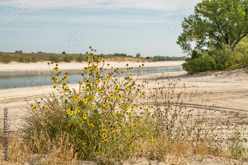 sandy beaches of Lake McConaughy, a reservoir on the North Platte River in Nebraska, early fall scenery with sunflowers photo