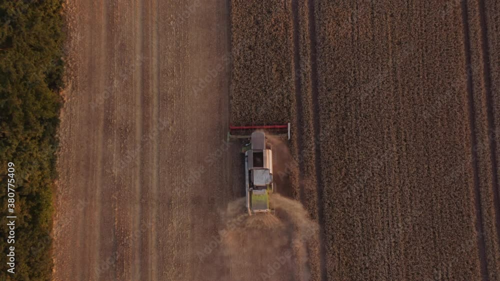 Drone Of Combine Harvesting Wheat In Field Drone Of Combine Harvesting Wheat In Field