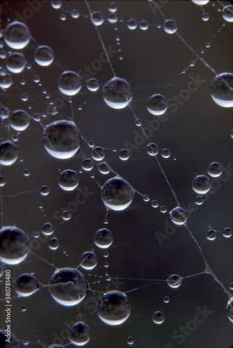 closeup macro delicate intricate patterns of dewdrops on a spider web photo