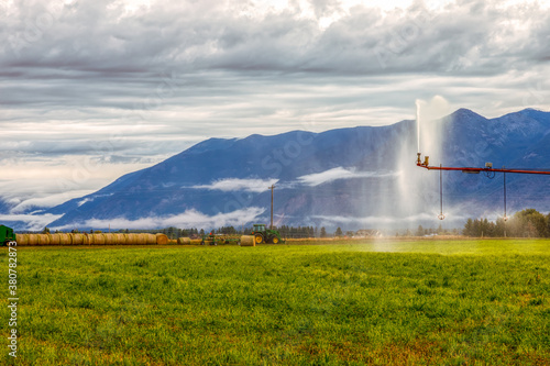 Wallpaper Mural Farming field with irrigation, farming equipment, and mountains in background on a cloudy morning, northwest Montana Torontodigital.ca