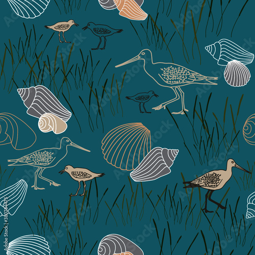 Turquoise_BirdsShells_Seaml_Stock
