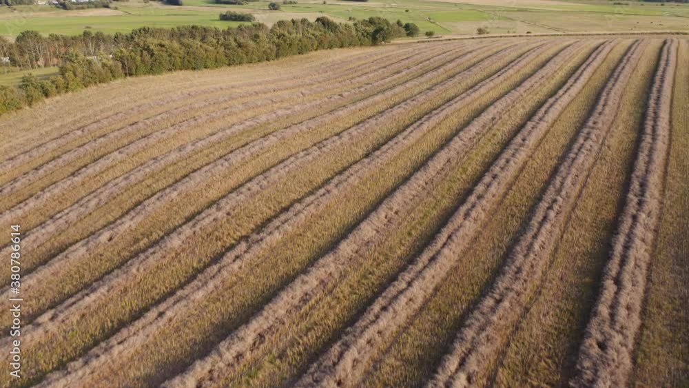 Drone Flight Over Crops And Countryside Landscape Drone Flight Over Crops And Countryside Landscape