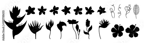 Exotic flowers silhouette set. Tropical botanical black shape floral flat plants. Wild flowers collection. Hawaiian glyph hand drawn jungle. Plumeria, heliconia and strelitzia. Vector illustration