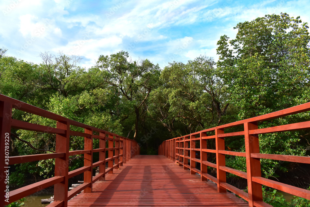 
Wooden bridge for walking around the forest