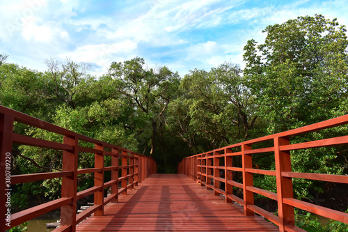  Wooden bridge for walking around the forest