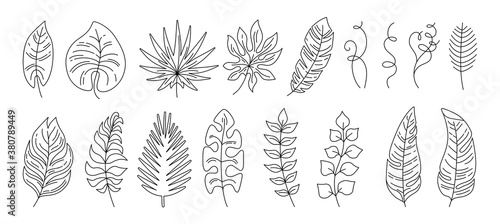 Tropical leaves line cartoon set. Exotic outline foliage, flat plants. Palm, wild leaf collection. Hawaiian hand drawn black linear elements jungle. Vector illustration on white background