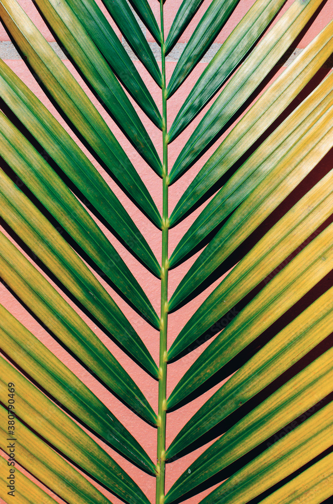Palm leaf pattern; exotic floral background Palm leaf pattern; exotic floral background