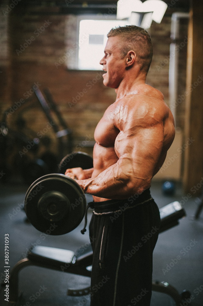 Male bodybuilder lifting weights in gym Male bodybuilder lifting weights in gym