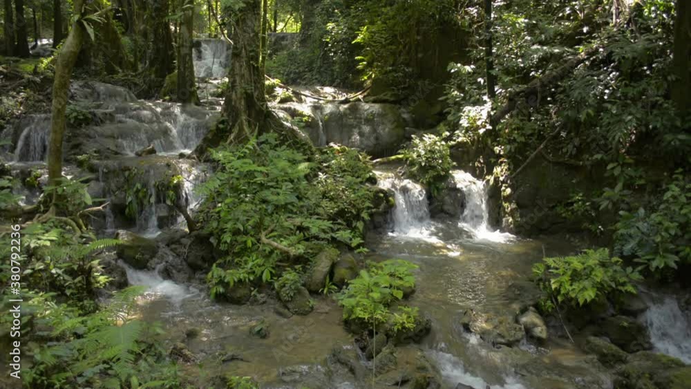 Beautiful scenery of water stream flowing from cascade over the rocks through green plant in fertile forest. Abundance of tropical rain forest with waterfall surrounded by lush foliage vegetation. Beautiful scenery of water stream flowing from cascade over the rocks through green plant in fertile forest. Abundance of tropical rain forest with waterfall surrounded by lush foliage vegetation.