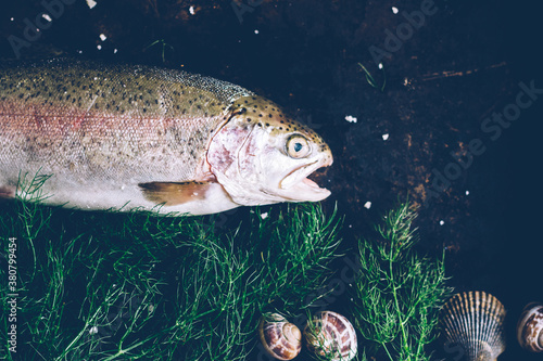 Still life featuring a trout. photo