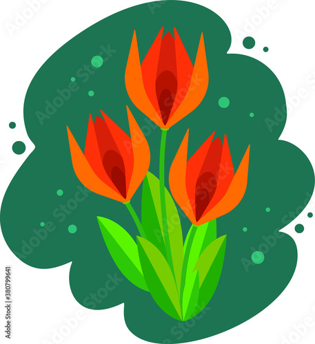 A bouquet of three tulips in a vector. Spring illustration, graphic flowers, Turkish tulips.