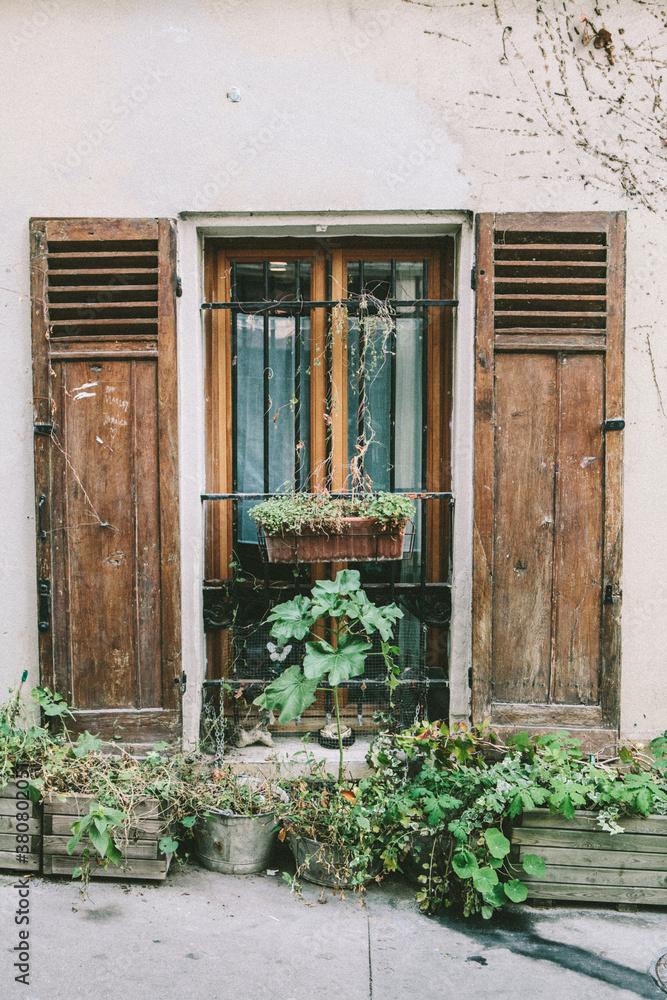 Pot plants in front of window shutters Pot plants in front of window shutters