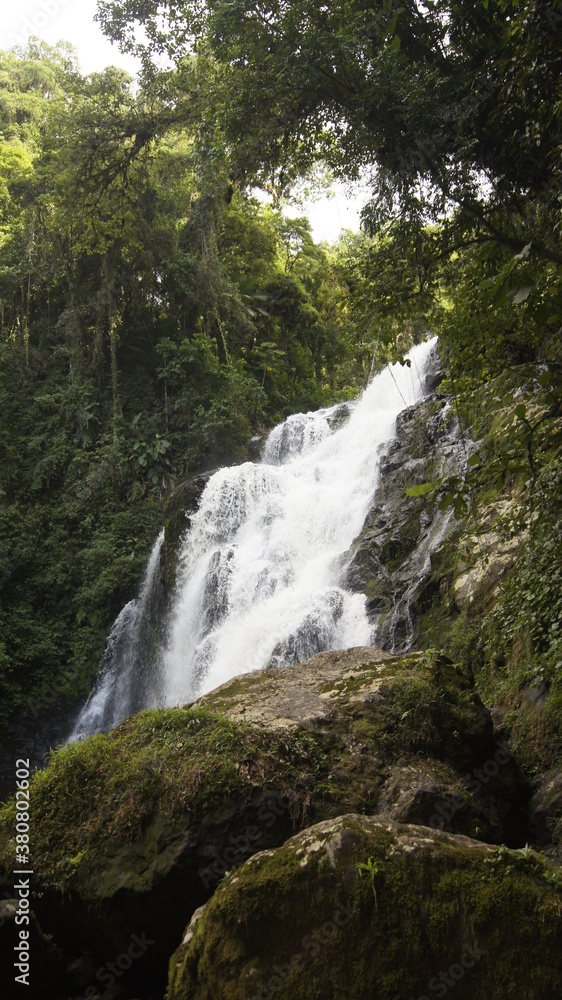 Fototapeta premium Waterfall